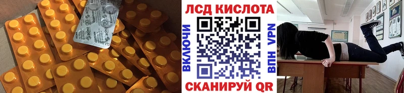 купить наркотики цена  Щучье  дарк нет как зайти  LSD-25 экстази ecstasy 